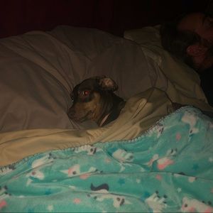 Meet your Posher, Alisha